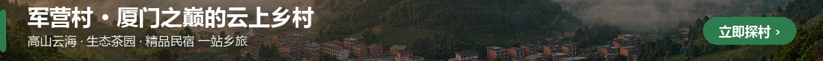 首页顶部横幅-军营村云上乡村